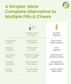 BariSlim Multivitamínico Bariátrico Una Vez al Día - 60mg Hierro - Post Cirugía Bypass Gástrico | 90 Días
