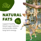 Wholesome Pet Wags – Snacks Blandos para Alivio de Alergias y Picor en Perros – Omega-3, Biotina, Colágeno – 60 uds