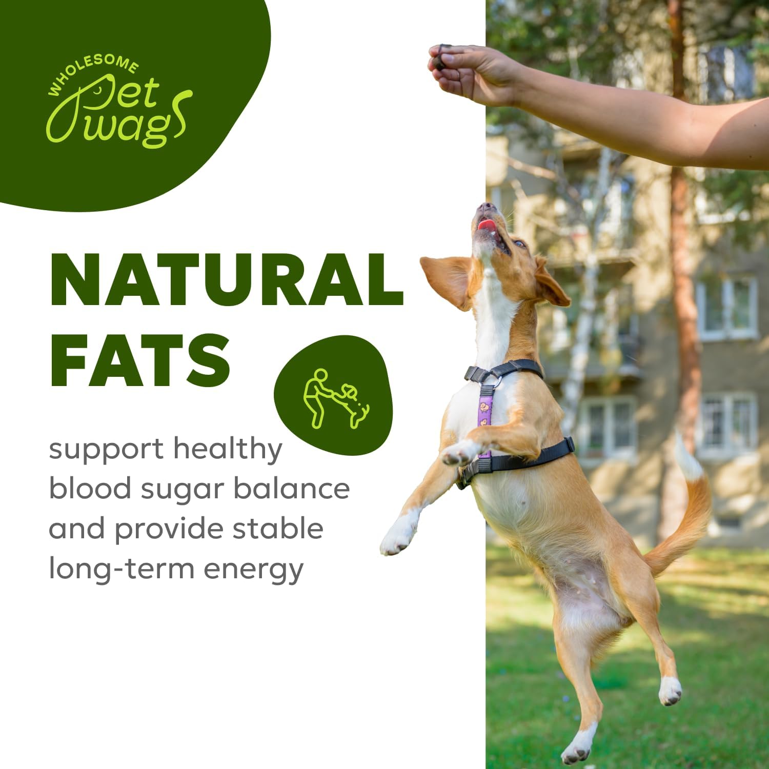 Wholesome Pet Wags – Snacks Blandos para Alivio de Alergias y Picor en Perros – Omega-3, Biotina, Colágeno – 60 uds