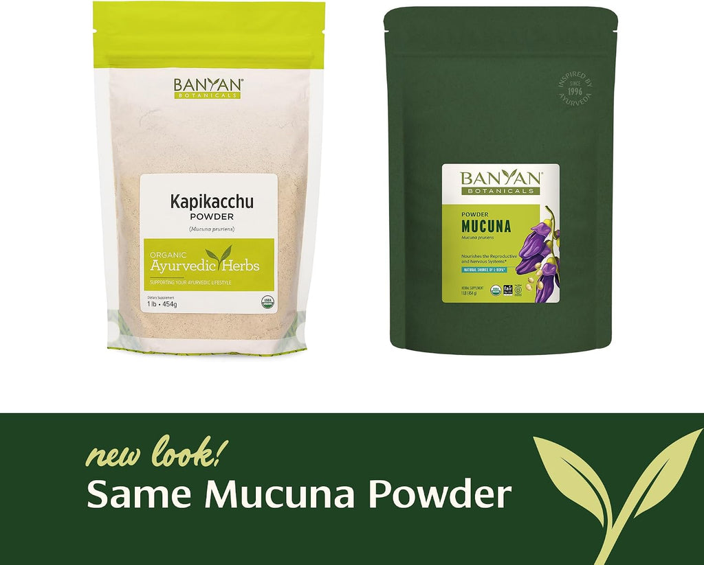 Banyan Botanicals Kapikacchu en polvo, 1 libra - USDA Orgánico - Mucuna pruriens