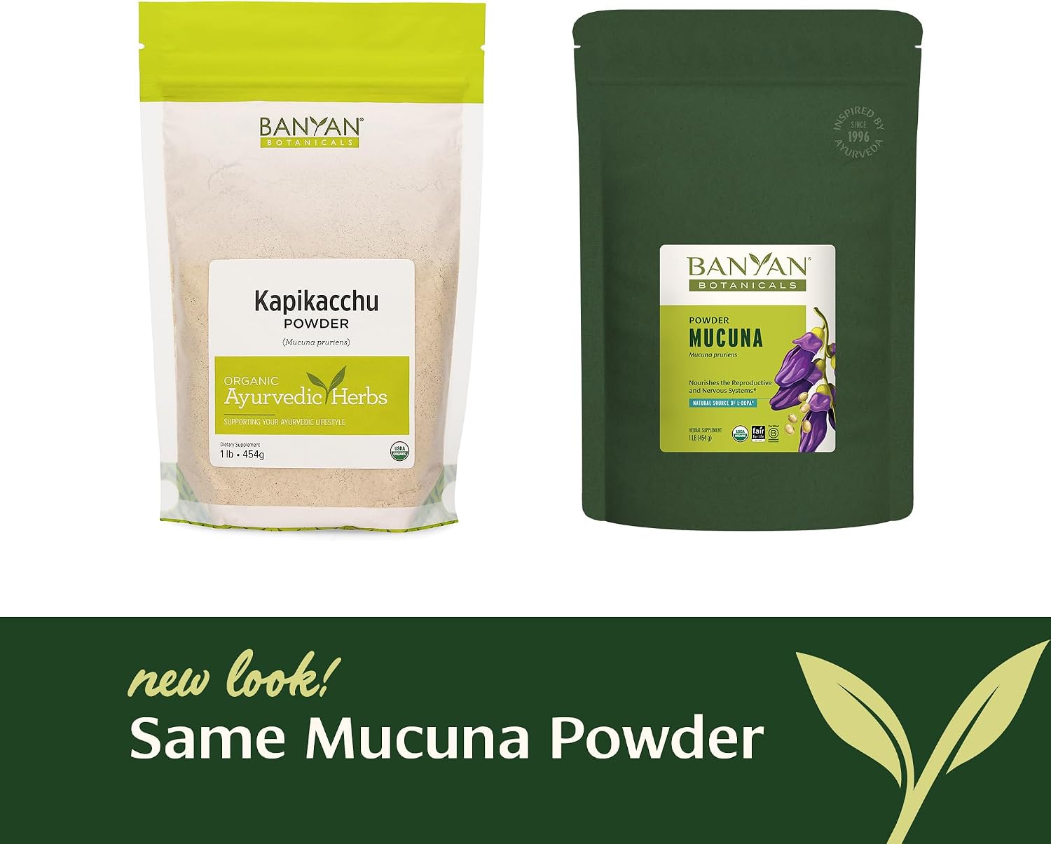 Banyan Botanicals Kapikacchu en polvo, 1 libra - USDA Orgánico - Mucuna pruriens