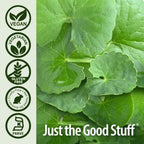 Nature's Answer Gotu Kola - Cápsulas Herbales Veganas - 90 Cápsulas