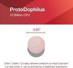 PROTOCOL FOR LIFE BALANCE Protodophilus Masticable - 10 Billion CFU Probiotic - Digestive Health - Vegan & Halal - 60 Tablets
