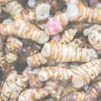 PURE ORIGINAL INGREDIENTS Raíz de Galanga (100 Cápsulas)