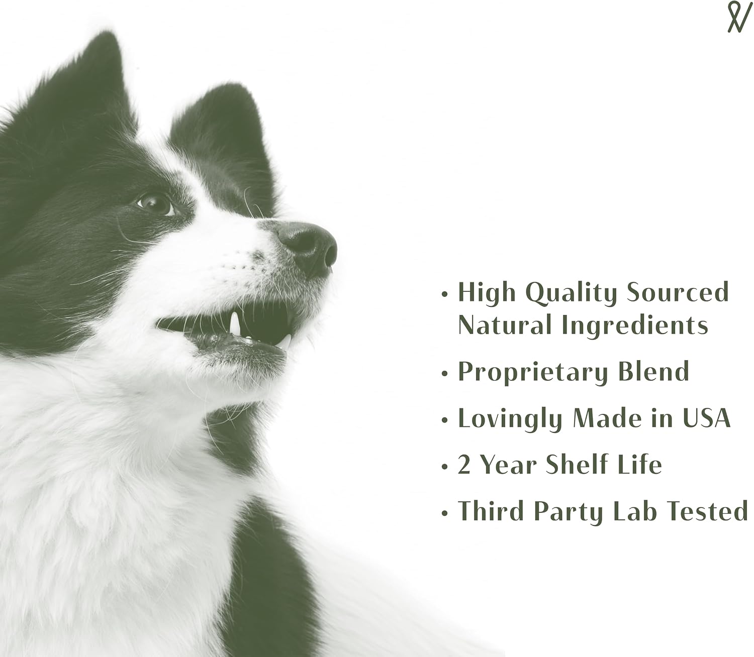 Everpath Respiratory Support for Dogs - 60 ml