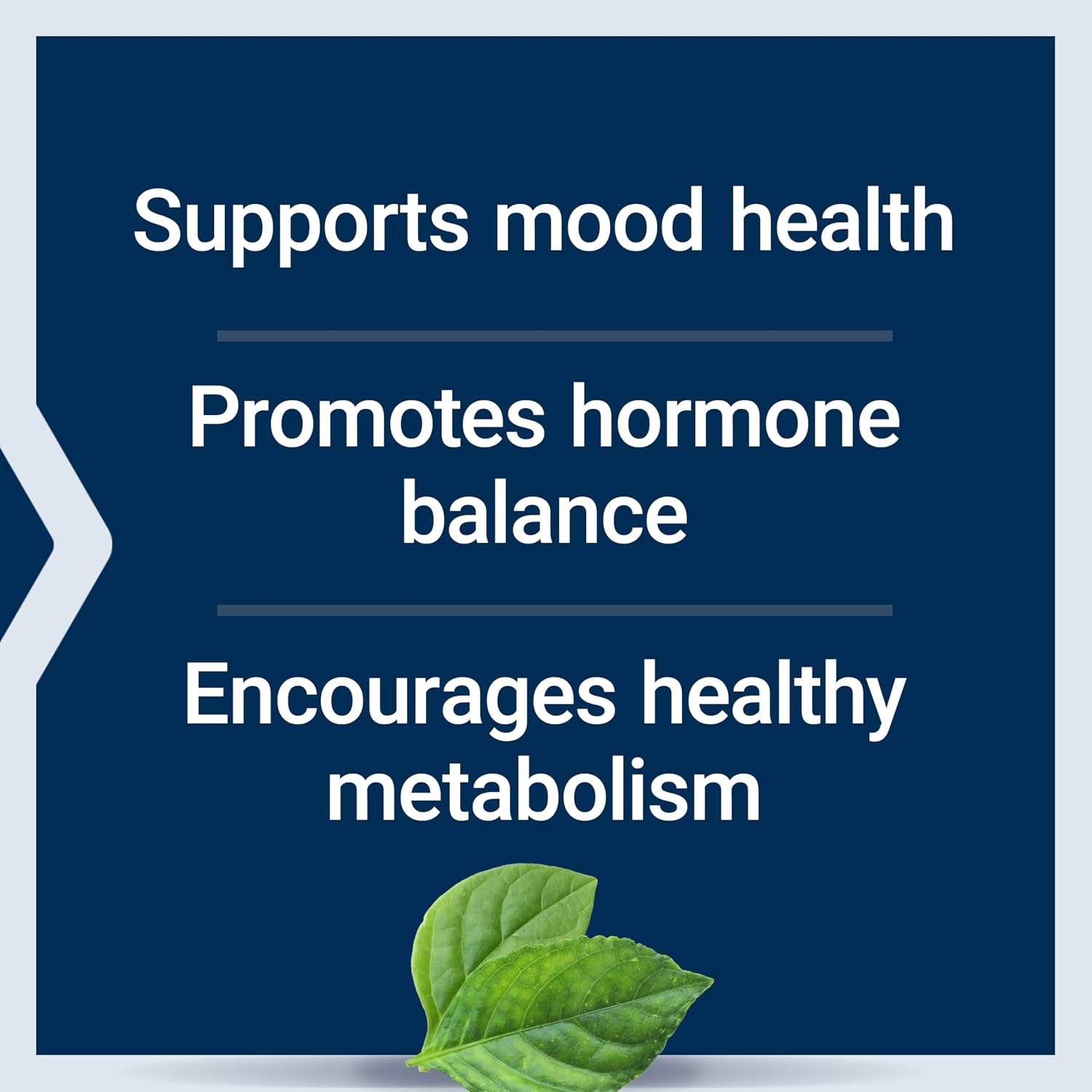 Life Extension Inositol Caps – 1000 mg de Myo-Inositol – 360 Cápsulas Vegetarianas