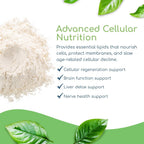 Return Healthy Phospholipid Synergy Powder - Antioxidante en Polvo para la Reparación Celular, 270 g
