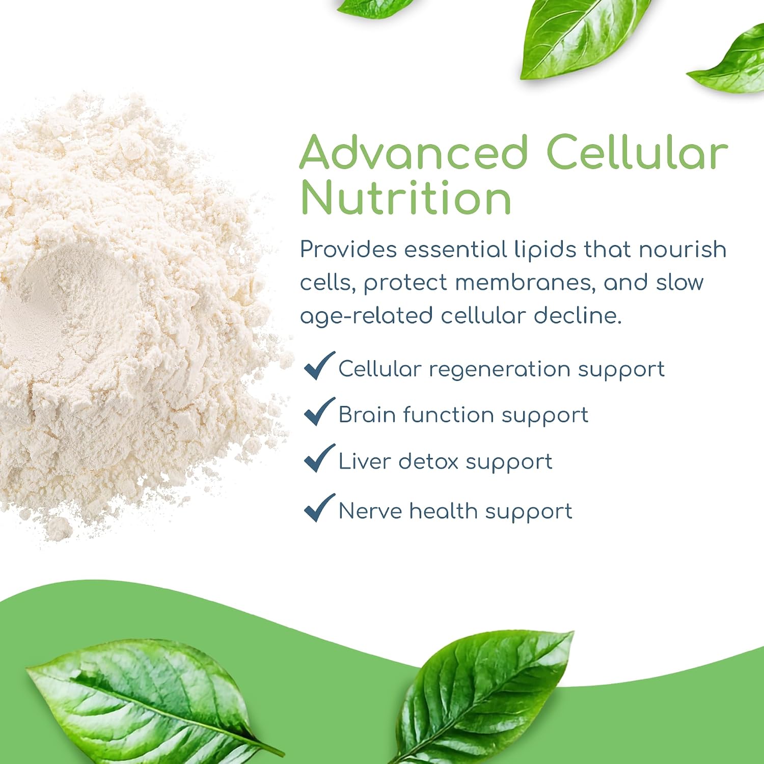 Return Healthy Phospholipid Synergy Powder - Antioxidante en Polvo para la Reparación Celular, 270 g