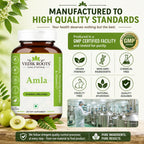 VEDIKROOTS Cápsulas de Amla 100% Orgánicas - Fuente Natural de Vitamina C - Complemento Alimenticio Herbal (60 Cápsulas, Pack de 2)