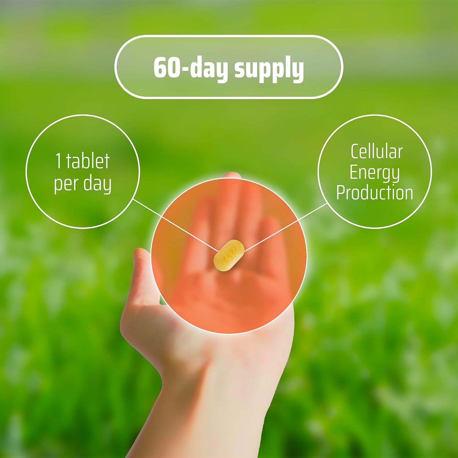 YDY All Active BQ10 - CoQ10 100mg, Complejo de Vitaminas B (B1, B2, B3, B6, B7, B9, B12, Pantetina) - Apoyo para la Salud Cardíaca, Energía Celular - 60 Comprimidos