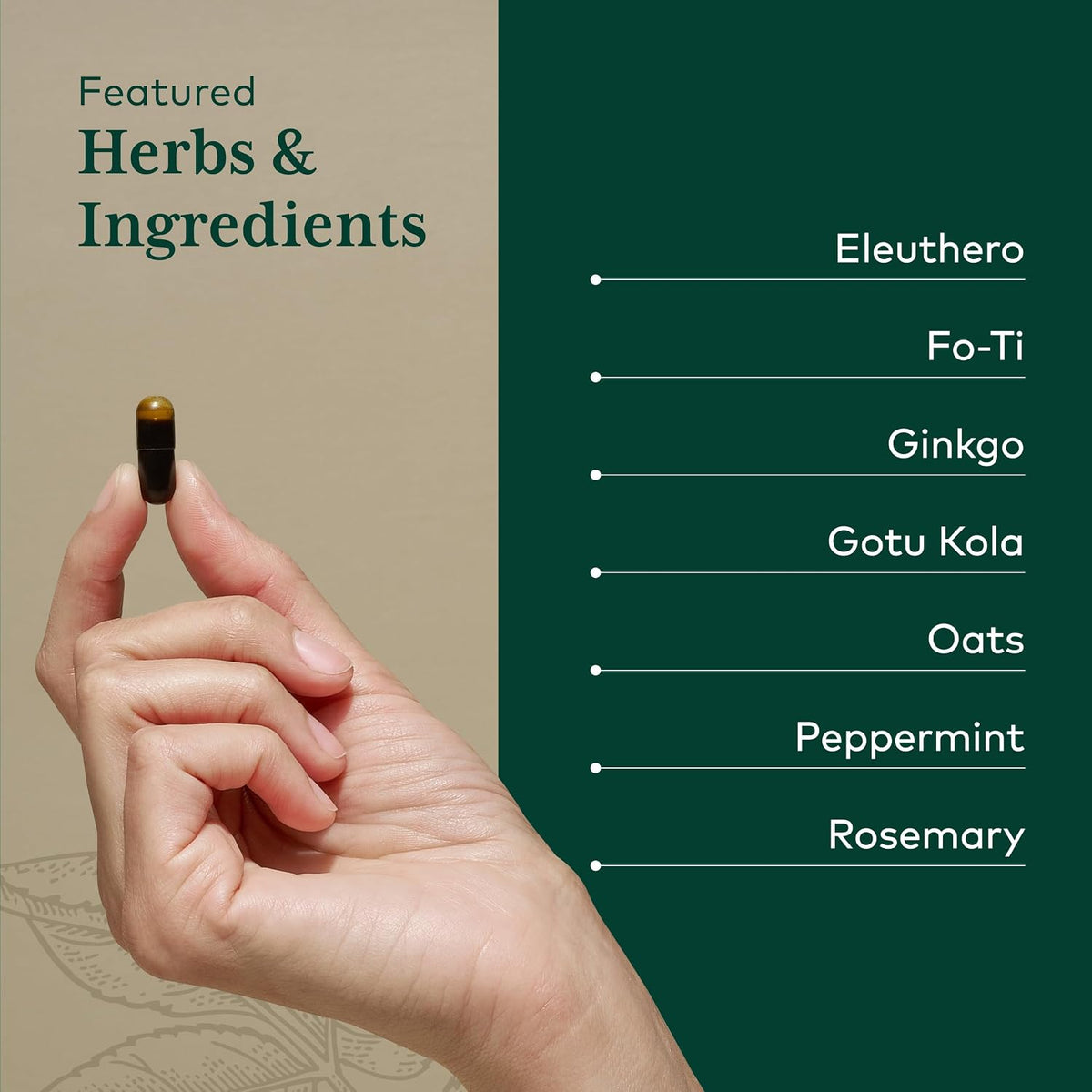 GAIA HERBS PRO Fórmula Cognitiva - Apoyo – Romero: Rico en antioxidantes, contribuye a la protección de las – Image 4