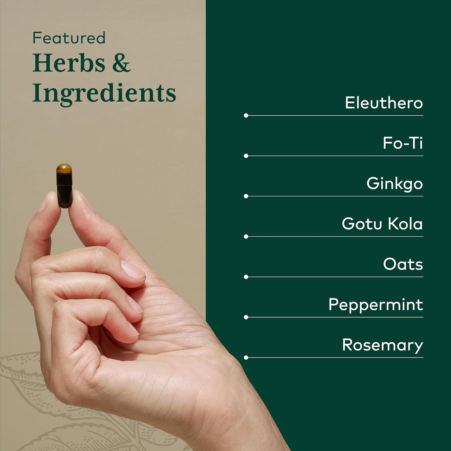 GAIA HERBS PRO Fórmula Cognitiva - Apoyo Cerebral y Circulación Sanguínea - 60 Cápsulas Líquidas