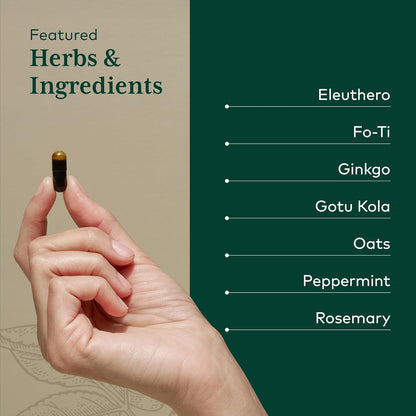 GAIA HERBS PRO Fórmula Cognitiva - Apoyo – Romero: Rico en antioxidantes, contribuye a la protección de las – Image 4