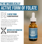L-Methylfolate 15 mg plus Methyl B12 Cofactor - Líquido sublingual de alta potencia - Sabor a bayas orgánico