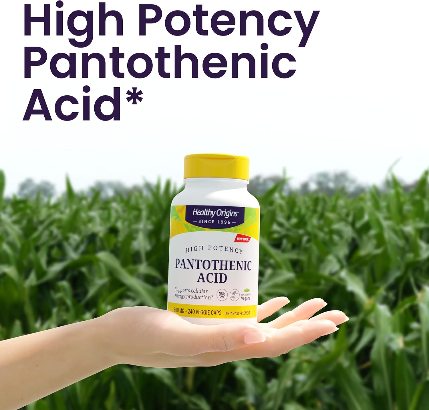 Healthy Origins Premium Vitamin B5 Pantothenic Acid 500 mg Cápsulas Veganas, Alta Concentración, Energía y Metabolismo, Cansancio y Fatiga, 240 cápsulas