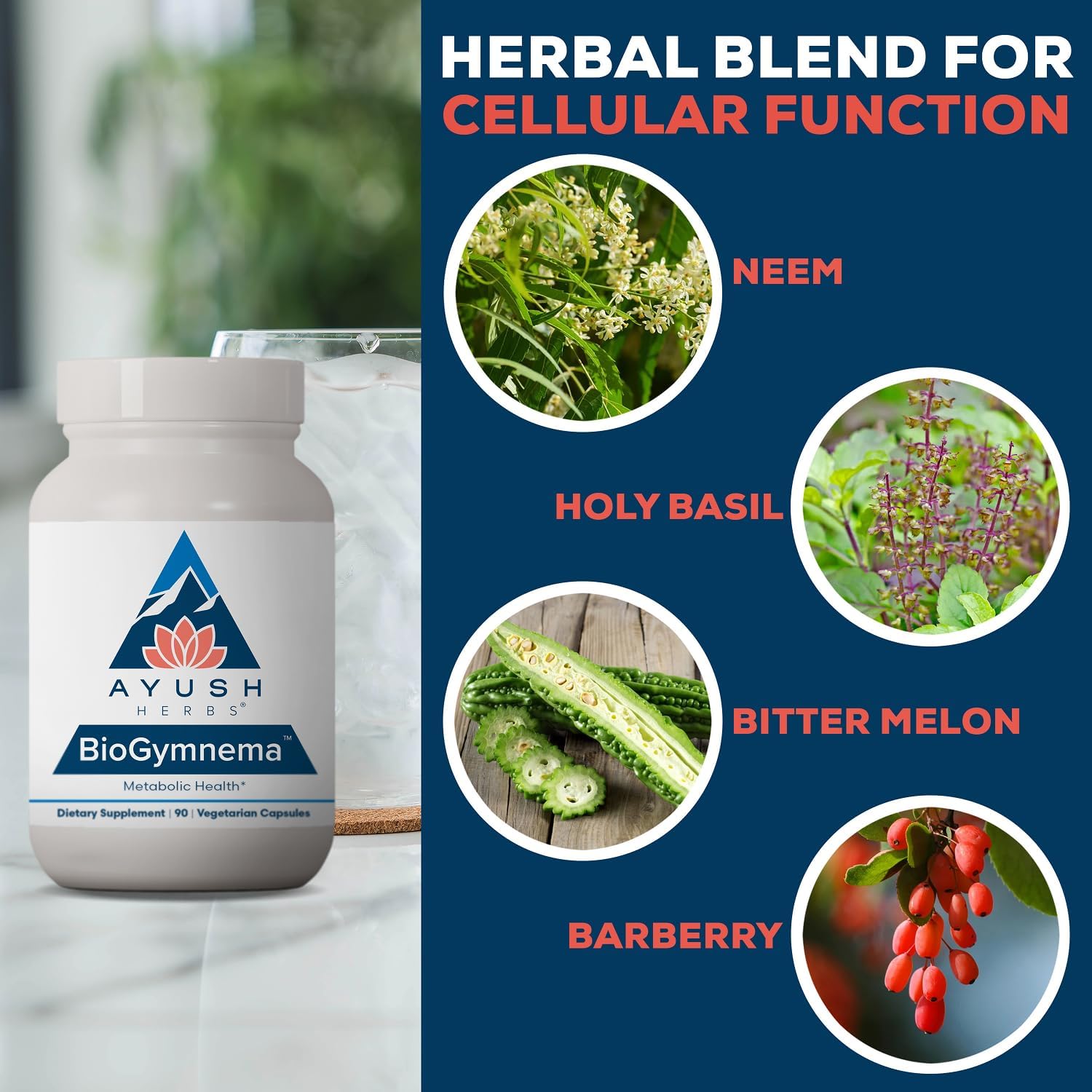 Ayush Herbs BioGymnema - Suplemento metabólico con vitaminas y hierbas, 90 porciones