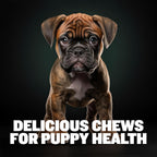 Bully Max 2-en-1 Vitaminas para Cachorros, 75 Masticables Suaves para Inmunidad y Crecimiento - Suplemento Multivitamínico para Perros con Probióticos y Calostro