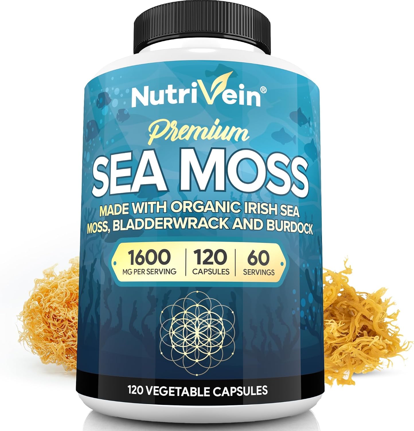 Nutrivein Musgo Marino Orgánico 1600mg con Bladderwrack y Bardana - 120 Cápsulas Veganas