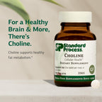 Standard Process Colina - 180 mg, 90 Comprimidos