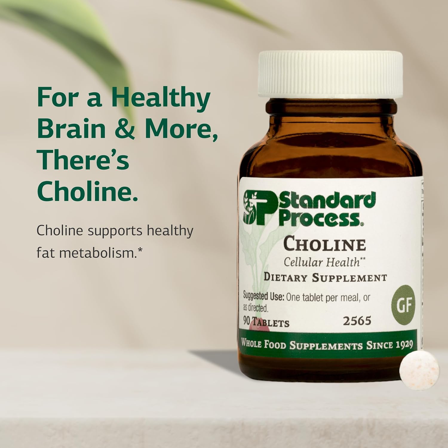 Standard Process Colina - 180 mg, 90 Comprimidos