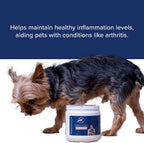 Dr. Jeff Werber Replenish Omega 3 Masticables para Perros - 60 unidades (Pequeño/Mediano)