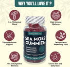 Simply Healthy Premium Sea Moss Gummies – Irish Sea Moss con Bladderwrack y Burdock Root, 60 Gominolas Veganas