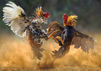 HULX Faster X3 New Formula - Complemento Vitamínico para Gallos y Aves (90 Cápsulas)