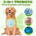 Probióticos Líquidos para Perros 3 en 1 con Enzimas Digestivas - Apoya la Salud Intestinal, Piel e Inmunidad