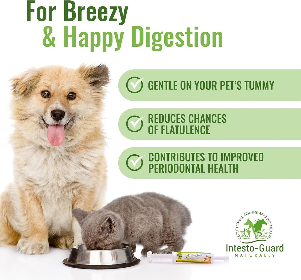 Probiotics Paste for Dogs Prebiotic for Canine, Gut Support, & Immune Boost, All Natural with 1 Billion per ML Includes (MOS)+ Beta Glucans + D-Mannose, No Animal by-Products - 60ML Single Tube