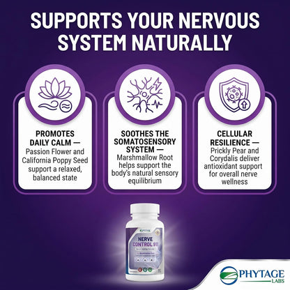 Phytage Labs Nerve Control 911 – Complemento – Semilla de amapola de California (Eschscholzia californica): Con – Image 5