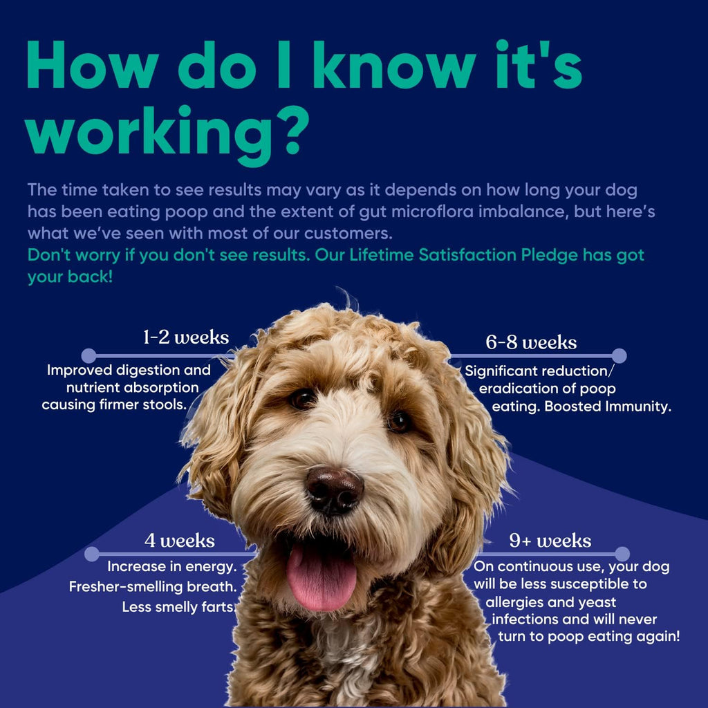 Vetrinex Labs Probiotic for Dogs - Coprophagia Aid - Powder for Dogs and Cats