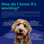 Vetrinex Labs Probiotic for Dogs - Coprophagia Aid - Powder for Dogs and Cats