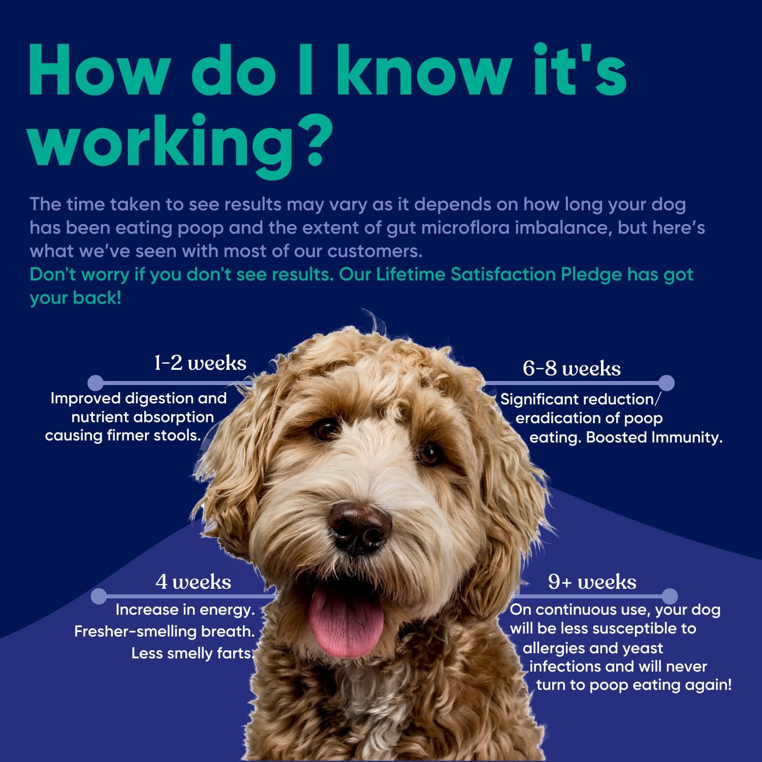 Vetrinex Labs Probiotic for Dogs - Coprophagia Aid - Powder for Dogs and Cats