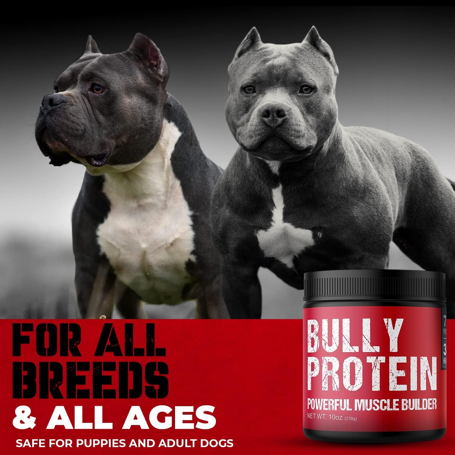 Proteína en polvo de carne real para perros - 283 mg (60 raciones)