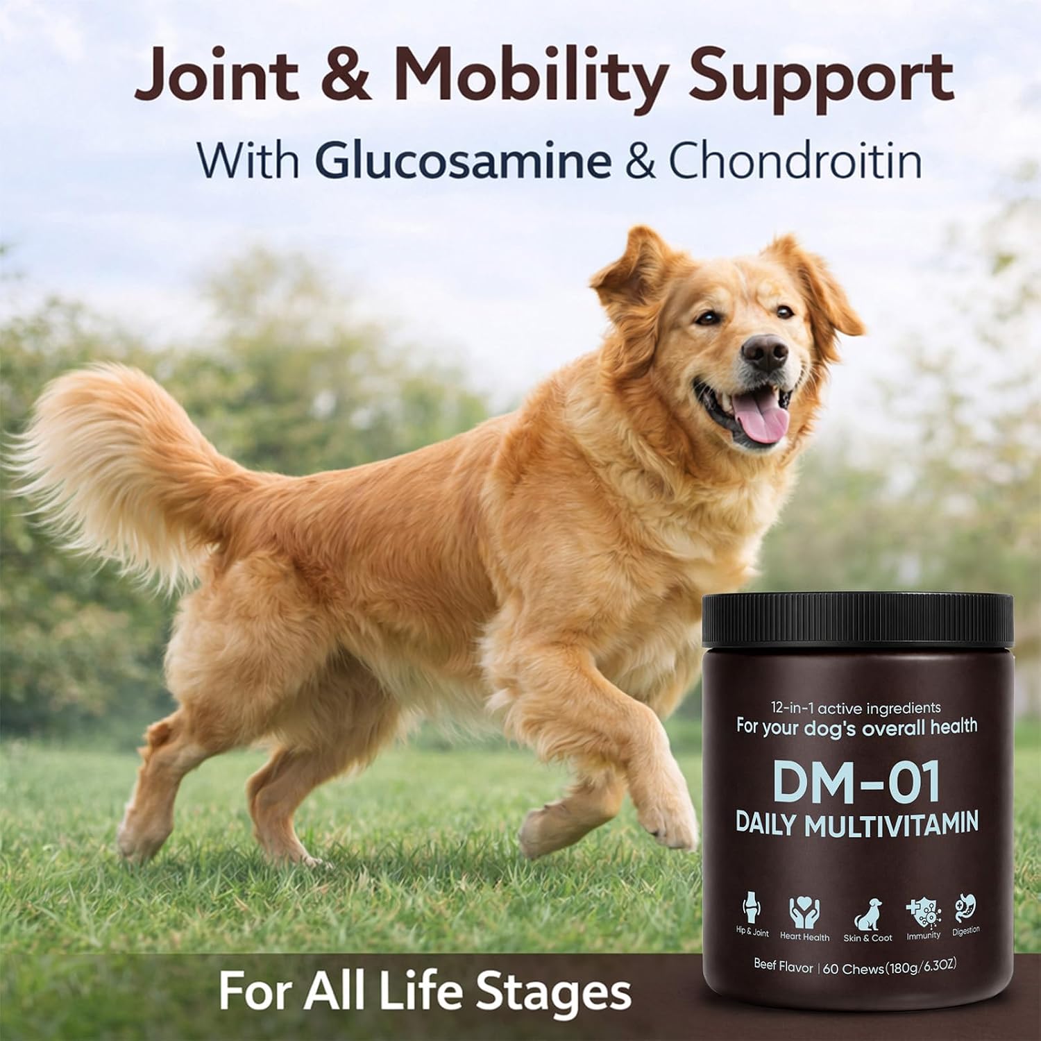 DM-01 Multivitamínico Diario para Perros - 60 Comprimidos Masticables Sabor Carne