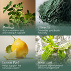 Apothékary Your Wildest Greens Gotas Líquidas de Superalimento Diario