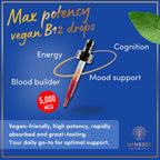 WINDSOR BOTANICALS Vitamina B12 Líquida Vegana - Metilcobalamina 5000 mcg - Gotas Sublinguales de Absorción Rápida - Sabor Cítrico, 60 ml
