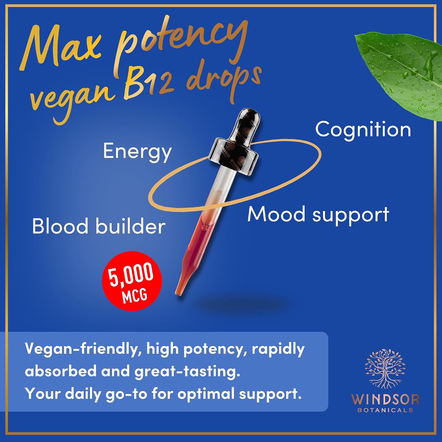WINDSOR BOTANICALS Vitamina B12 Líquida Vegana - Metilcobalamina 5000 mcg - Gotas Sublinguales de Absorción Rápida - Sabor Cítrico, 60 ml