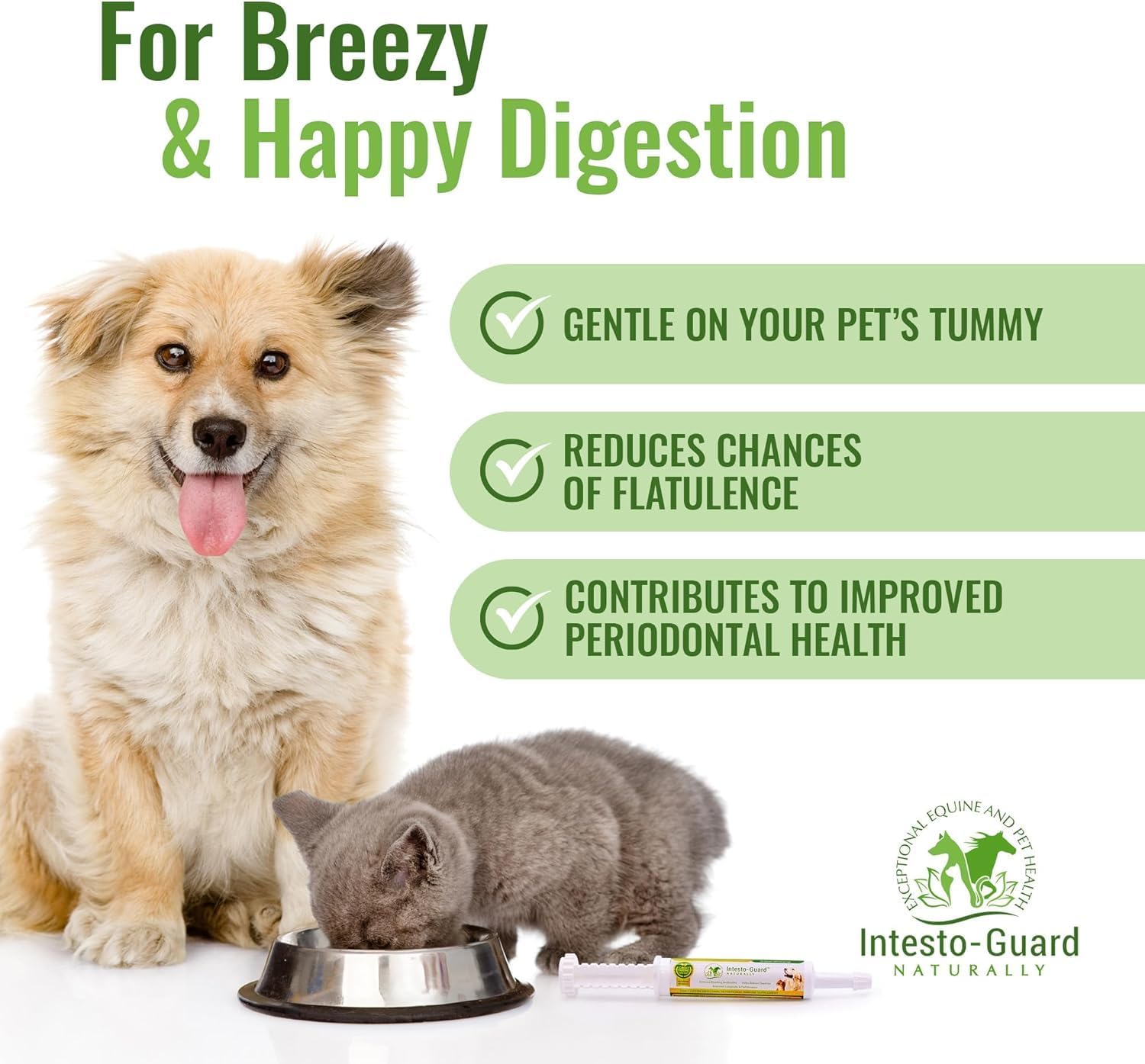 Pasta de Probióticos para Perros con Prebiótico, Apoyo Digestivo e Inmunitario, Natural con 1 Billón por ml, Incluye MOS, Beta Glucanos y D-Manosa, Sin Subproductos Animales - Tubo de 30 ml