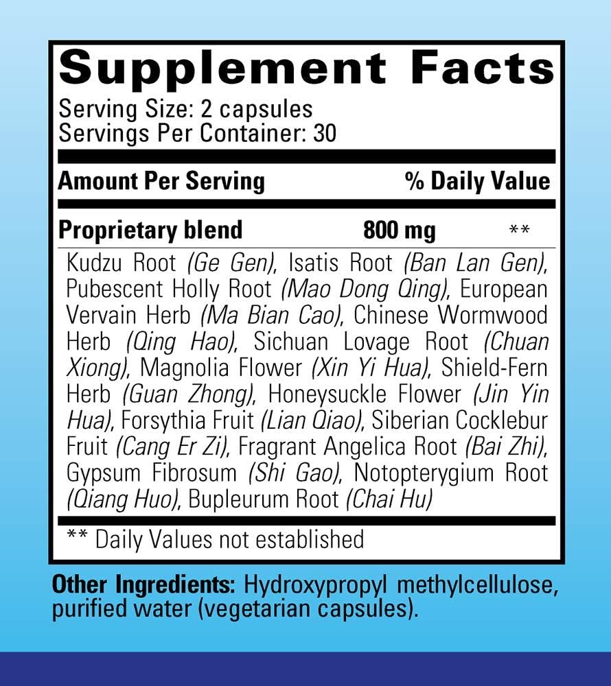 ImmunoPhase - Natural Herbal Immune Support Supplement (60 Vegetarian Capsules)