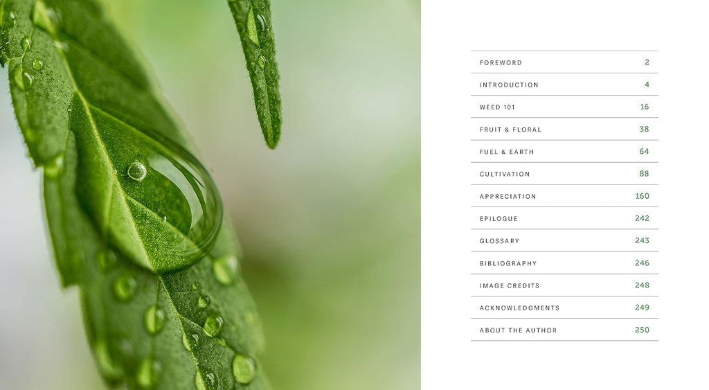 Weed: A Connoisseur's Guide to Cannabis