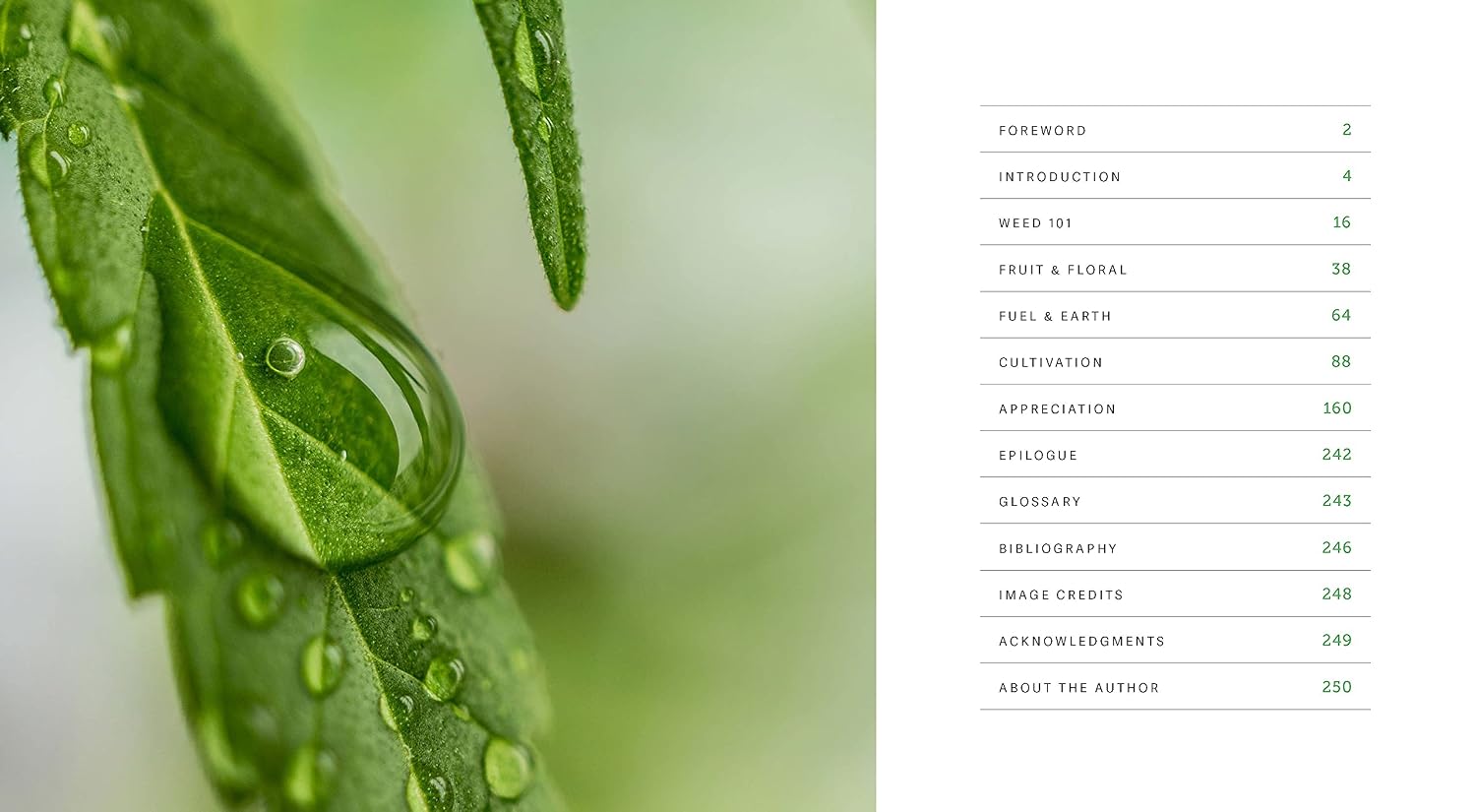 Weed: A Connoisseur's Guide to Cannabis