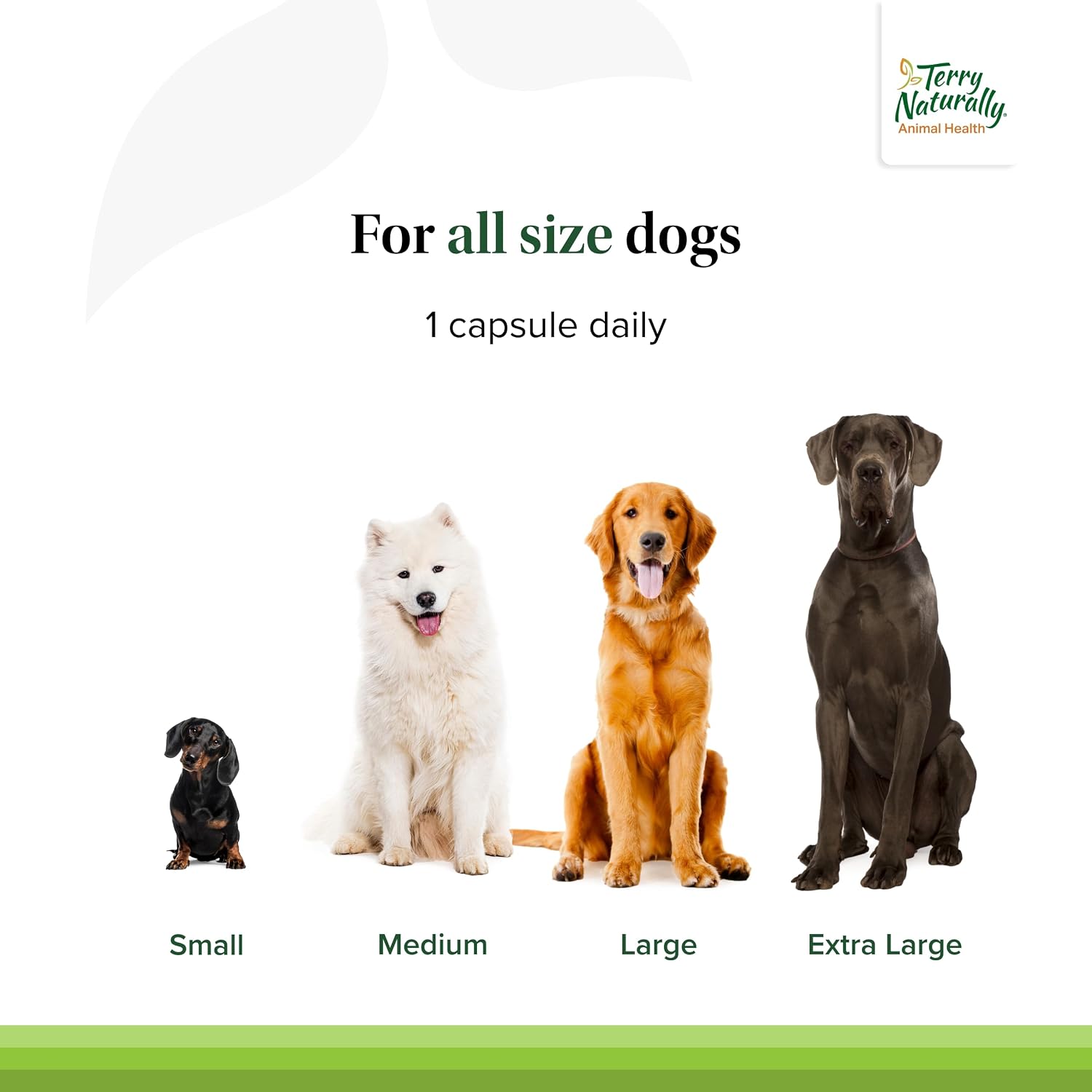 Terry Naturally Bladder Control - Complemento para la salud de la vejiga en perros - 30 cápsulas