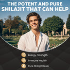 MEGNETA Shilajit Supplement, Support Energy & Immune Health, 100 softgels
