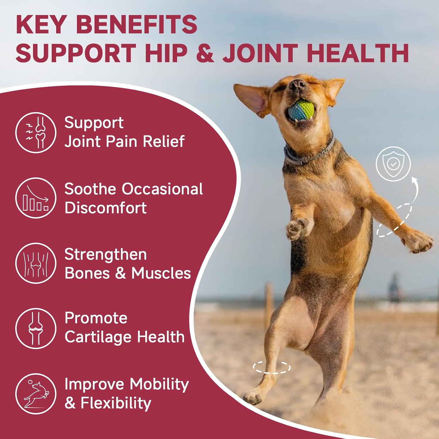 Suplemento para Articulaciones y Cadera para Perros con Glucosamina, MSM, Condroitina, Omega-3 y Cúrcuma - 180 Golosinas Liofilizadas