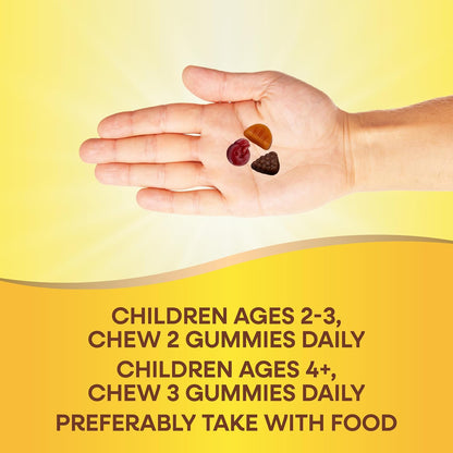 Nature's Way Alive! Multivitamínico Infantil – Zinc: contribuye al funcionamiento normal del sistema inmunitario y – Image 5