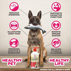 SavvyBeast Aceite de Salmón Salvaje de Alaska para Perros, Gatos y Hurones - 946 ml