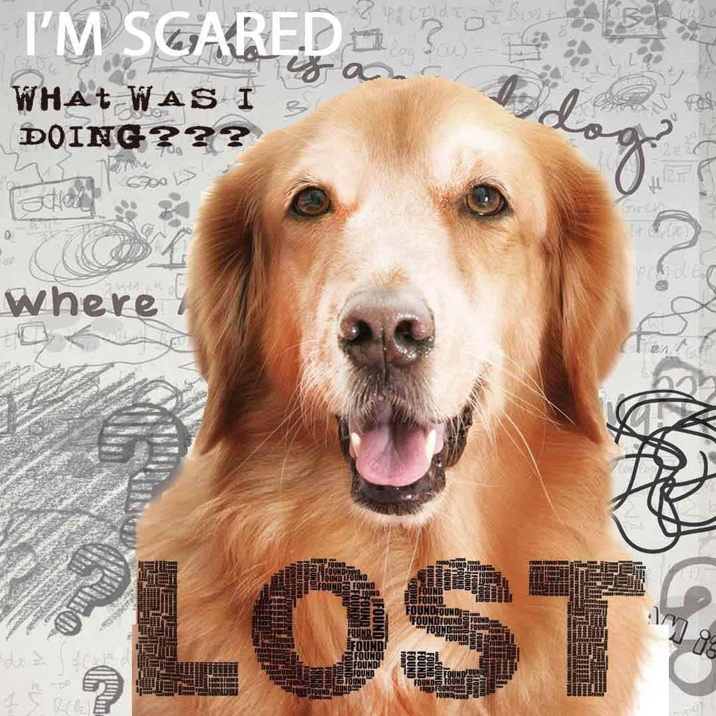 The Blissful Dog Golden Retriever Age Well Spray Aromaterapia