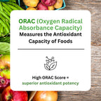 Paradise Herbs ORAC Energy Protein & Greens Powder, Proteína y Verdes en Polvo sin Sabor, 15 porciones