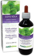 Naturalma Gotu kola (Centella asiatica) Extracto Líquido Sin Alcohol - 118 ml
